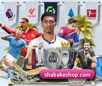 mksports体育 APP